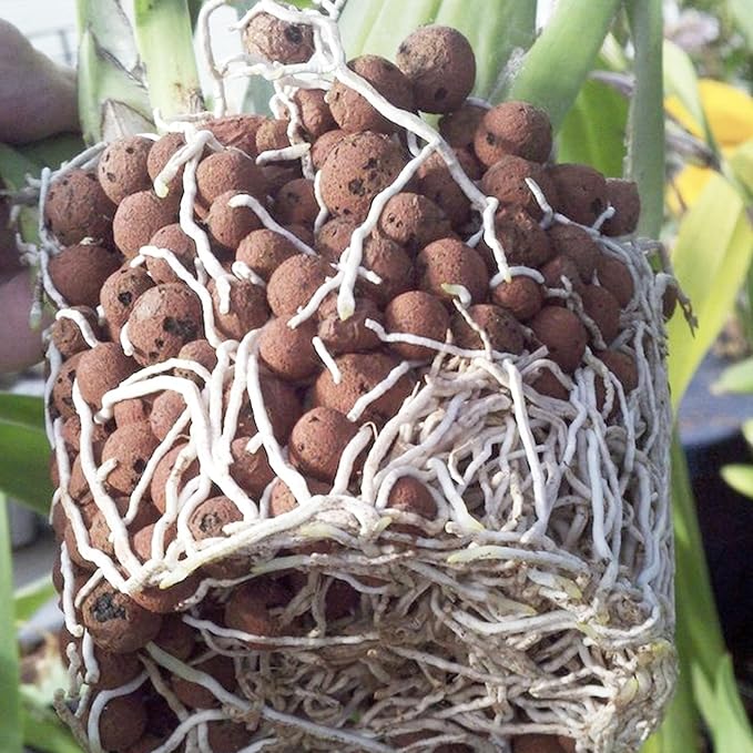 10 lbs LECA Balls for Indoor Plants, 4-16mm Clay Pebbles for Plants Hydroponic, Aquaponics, Natural Leca Balls for Soil Root Development, Orchid Potting Mix