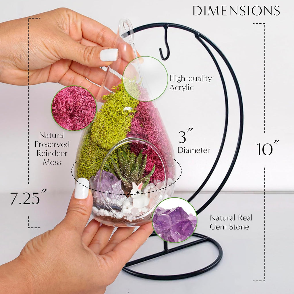 Plant Terrarium Kit W/Live Succulent (Fresh from Florida), Choose Your Glass DIY Terrarium Starter Kit for Adults, Metal Stand, Reindeer Moss, Crystal & Rocks, Tools, Figurine