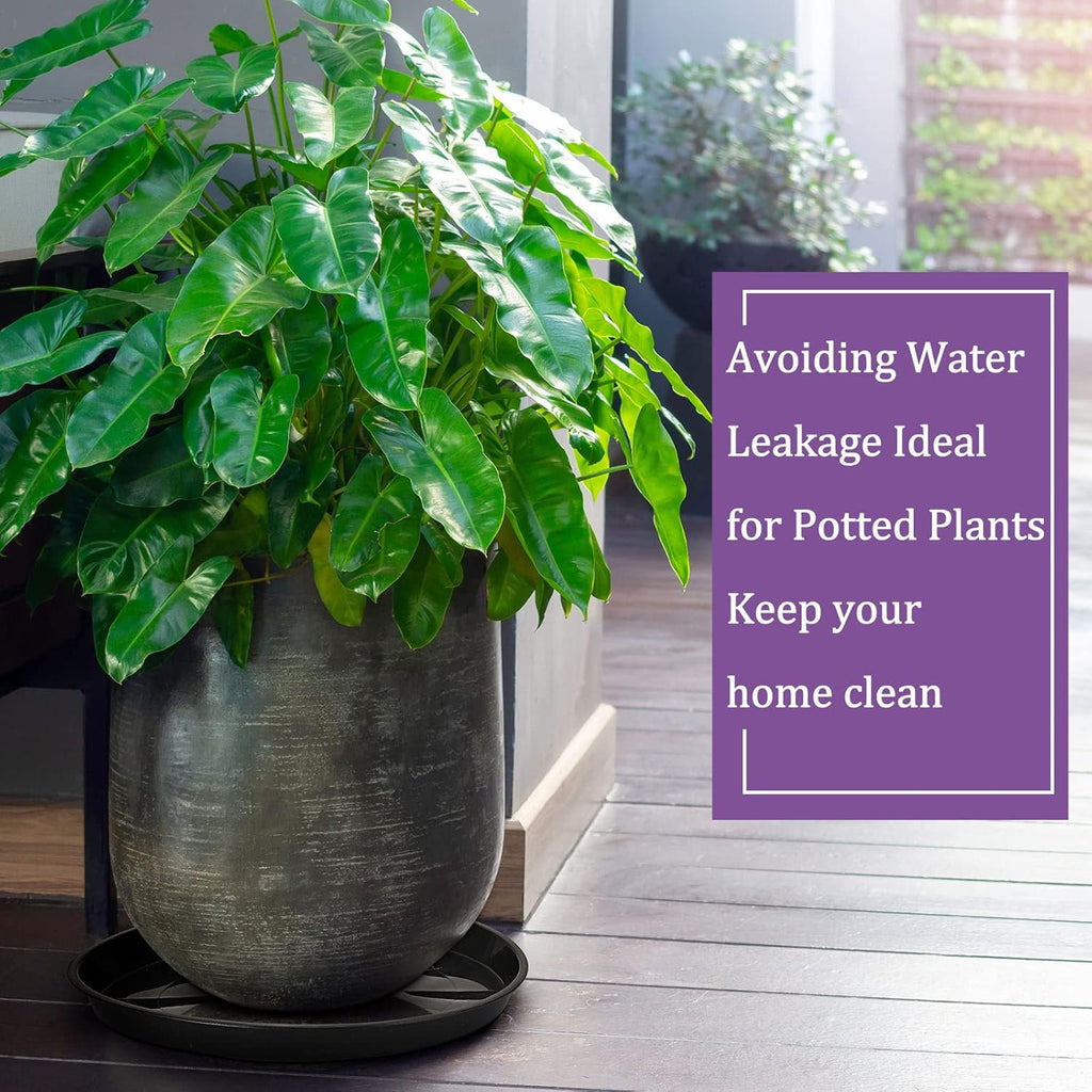 Eccliy 6 Pack Plastic Plant Saucer Heavy Duty Planter Saucers Large Plant Pot Saucers Plastic Water Trays for Indoors and Outdoors Flower Plant Plant Drip (Black,18 Inch)