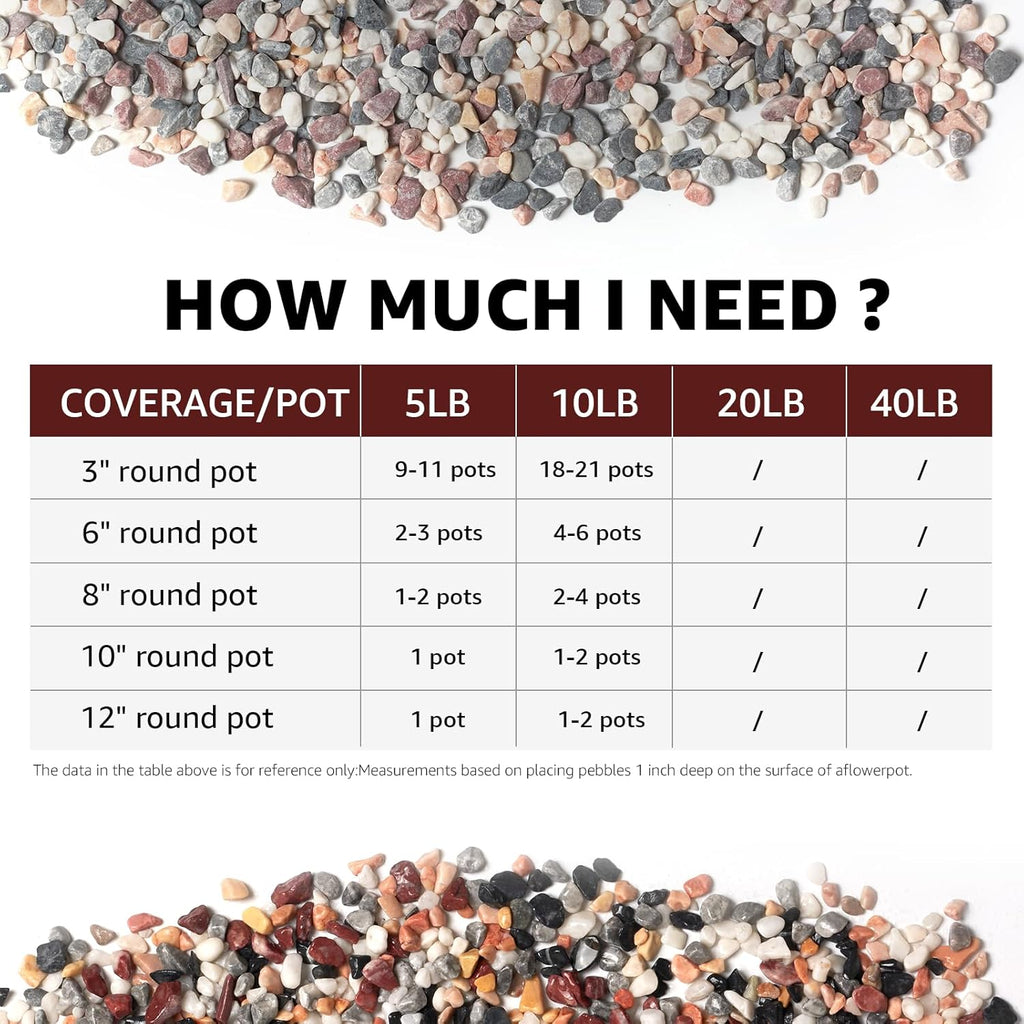 10lbs Natural Gravel Pebbles for Succulents and Cacti, 1/5 Inch Decorative River Stones – Perfect for Vases, Aquariums, Terrariums, and Outdoor Gardening, Mixed Colors (Mixed, 10 Pounds)