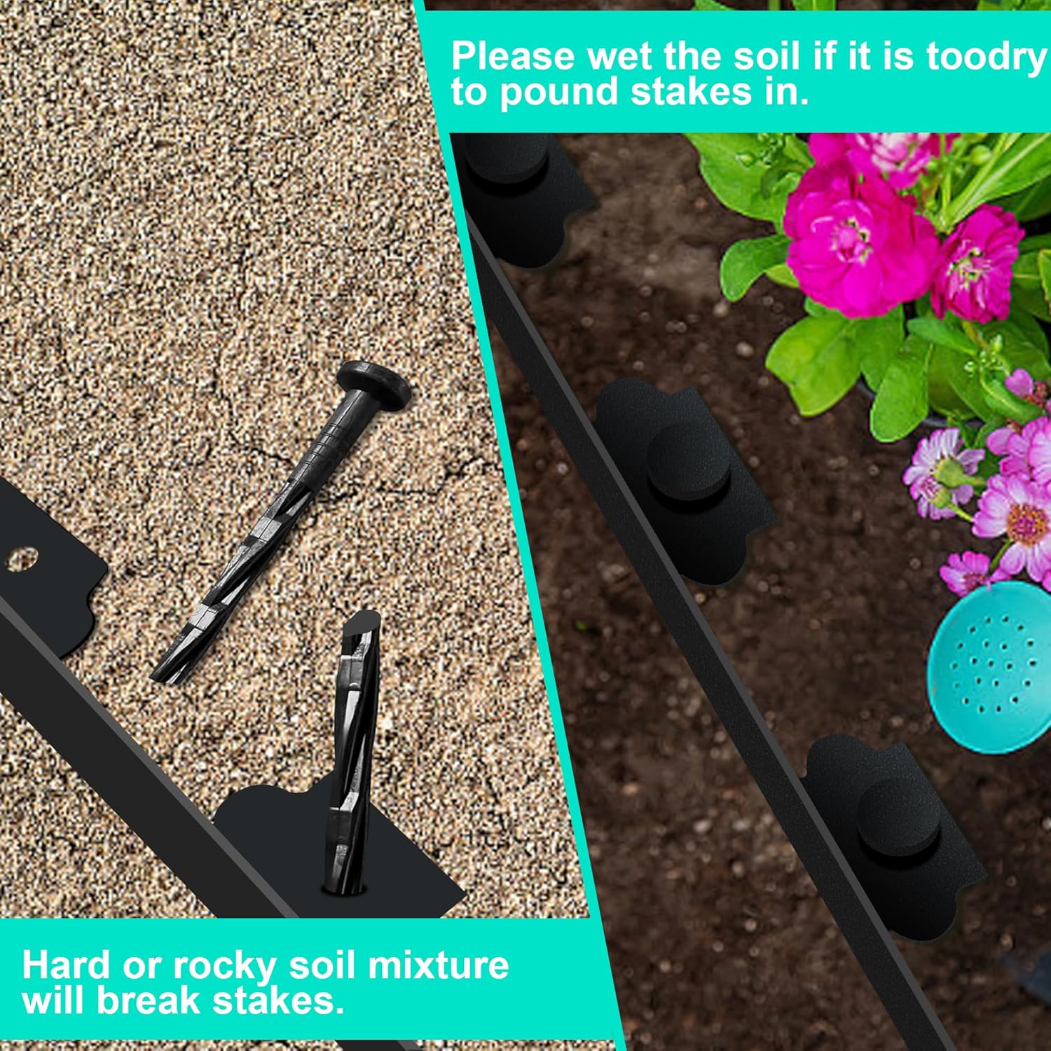 Landscape Edging Coil 66 FT, 2 Inch Tall Garden Edging Border Flexible Lawn Edging Kit with 60 Spikes, Plastic Edging for Landscaping Flower Beds Yard Pathway Paver Edging (2IN x 66FT, Black)