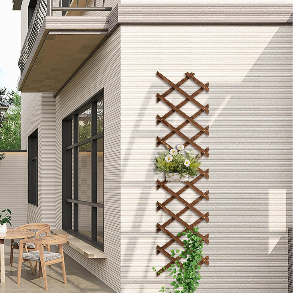 2 PCS Expandable Garden Trellis, 13.4" x 60" Trellis for Climbing Plants Outdoor, Wooden Lattice Fence Wall Panel Lattice Panels for Outside, for Climbing Plants Vine Ivy Rose Cucumbers Clematis
