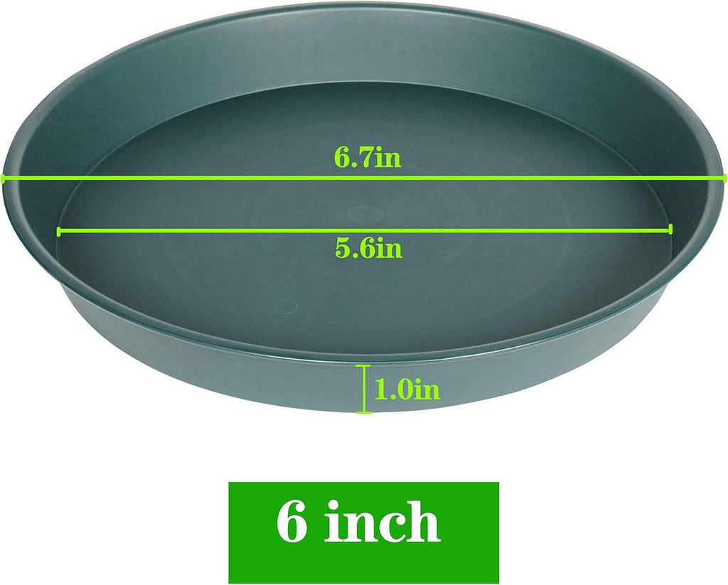 6 Pack Plant Saucer Tray Green, 4 6 8 10 12 13 15 17 19 inch Pot Saucers, Heavy Duty Plastic Plant Saucers for Indoors, Plant Drip Tray, Plant Trays for pots Planter (6", Green)