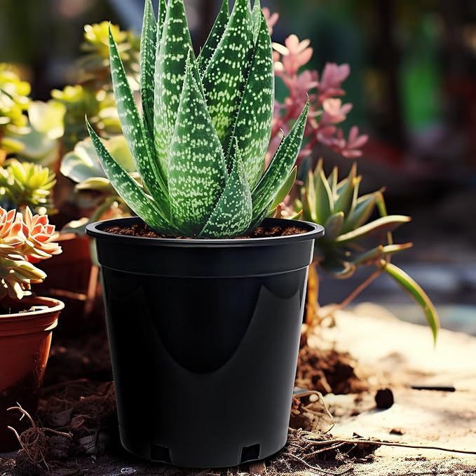 1.5 Gallon Plastic Nursery Pots, 7.5 Inch Round Plant Pots with Drainage Holes, 15 Pack Flower Pots for Outdoor Indoor Plants, Flowers, Black