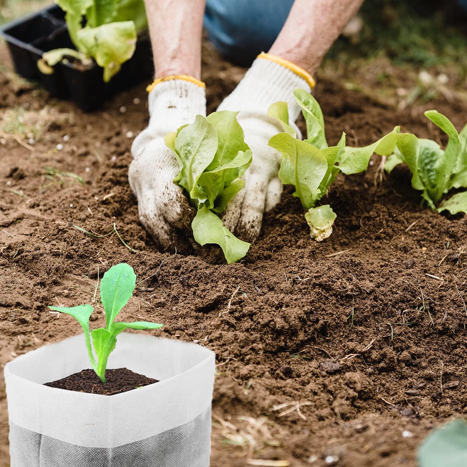 100Pcs Nursery Growing Bags，5.8"x5"nonwoven Fabric Seedlings Grow Bag for Plants，Fabric Plant pots,Potato, Flower, Tomato Solid Seed Starter Bags