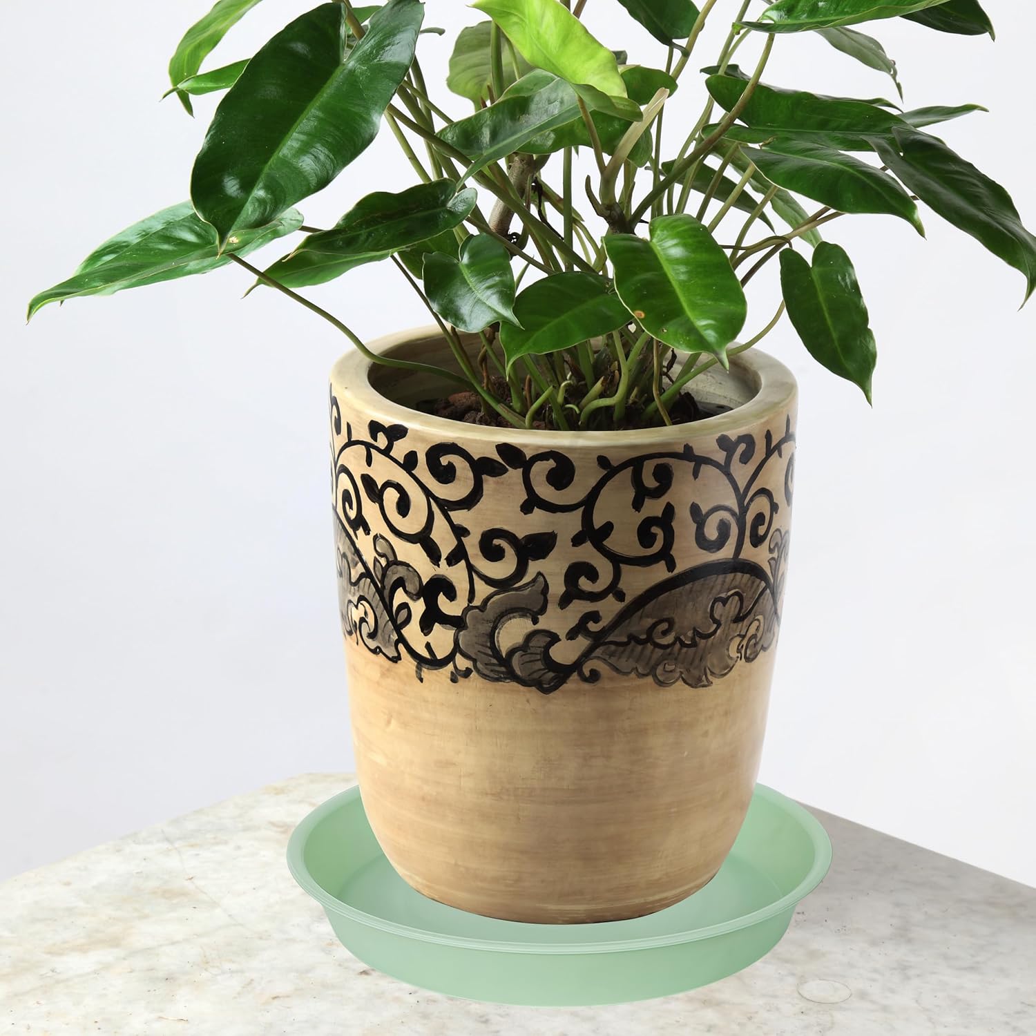 6 Pack of 10 inch Plant Saucer Blue, Heavy Duty Plastic Plant Saucer 10 inch Round, Flower Plant Saucers for Indoors, Plant Trays for Planter 8"/9"/10" (10", Light Green)