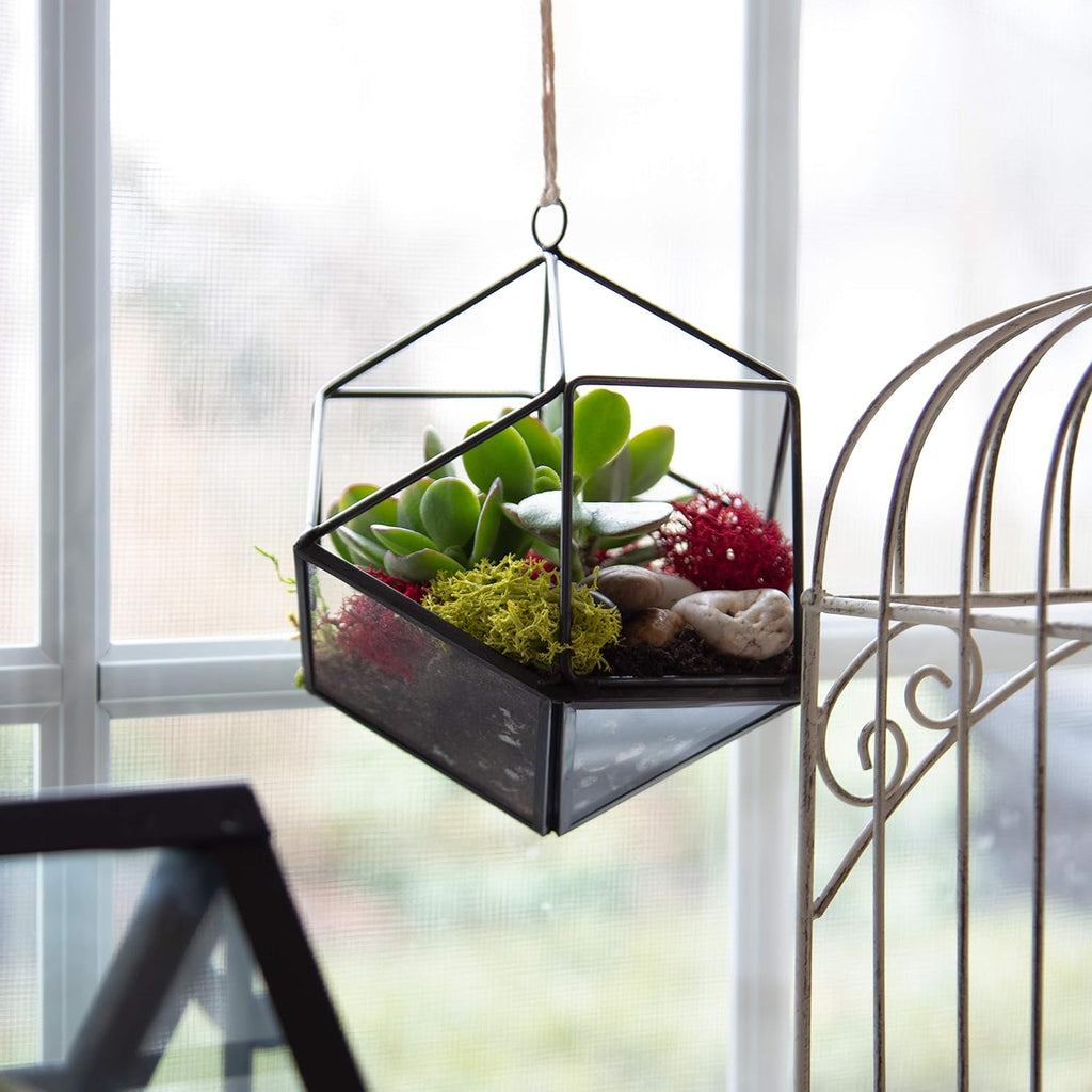 D'Eco Glass Geometric Plant Terrarium 3Pk - Hanging Brass Triangle, House & Prism Planters - Succulents, Air Plants, Moss - Summer Home, Garden, Wedding & Office Botanical Decor- Gift for Plant Lovers