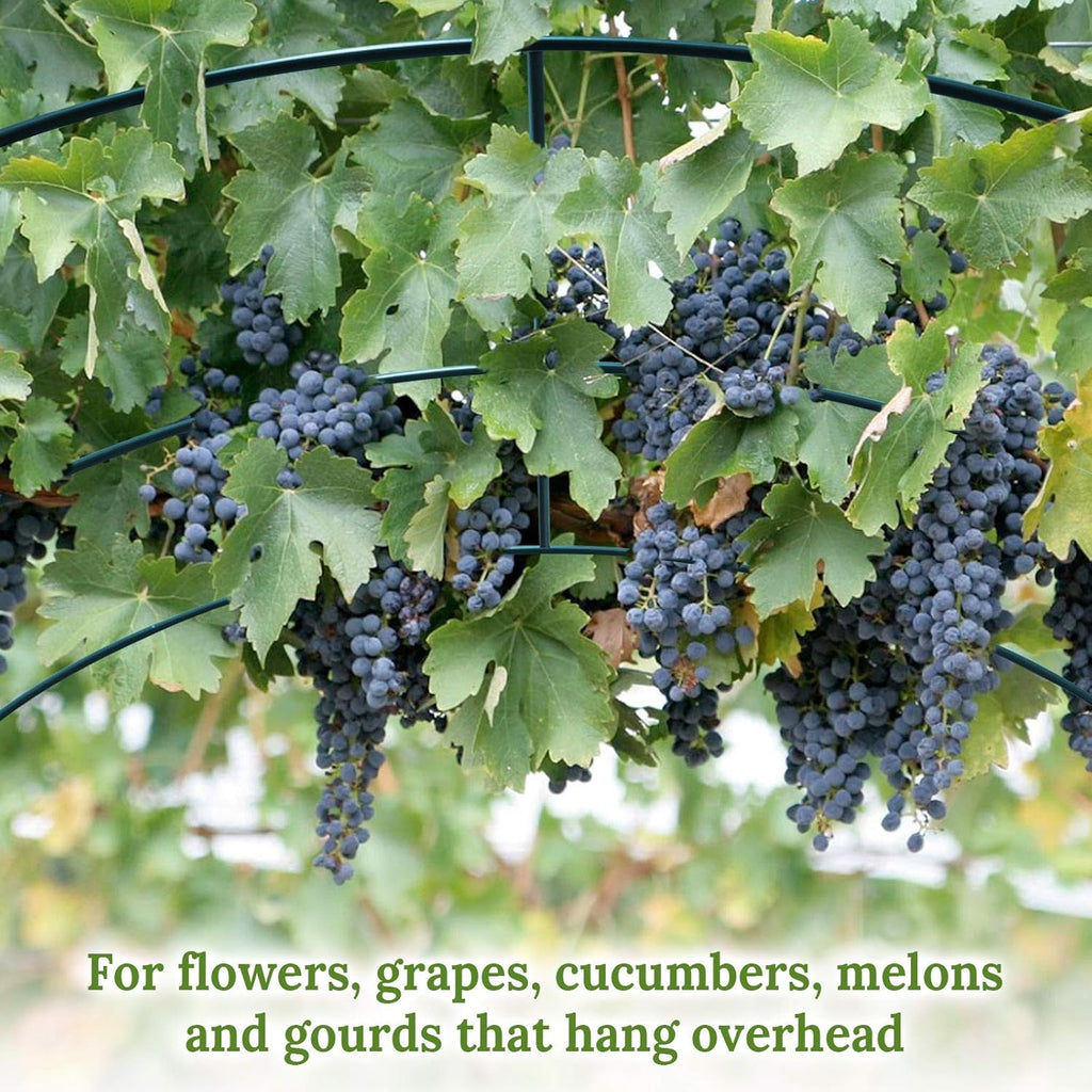 Multi-Size Large Garden Support Arch Frame Climbing Plant Arch Arbor for Flowers/Fruits/Vegetables (13FT x 7FT x 7.2FT)