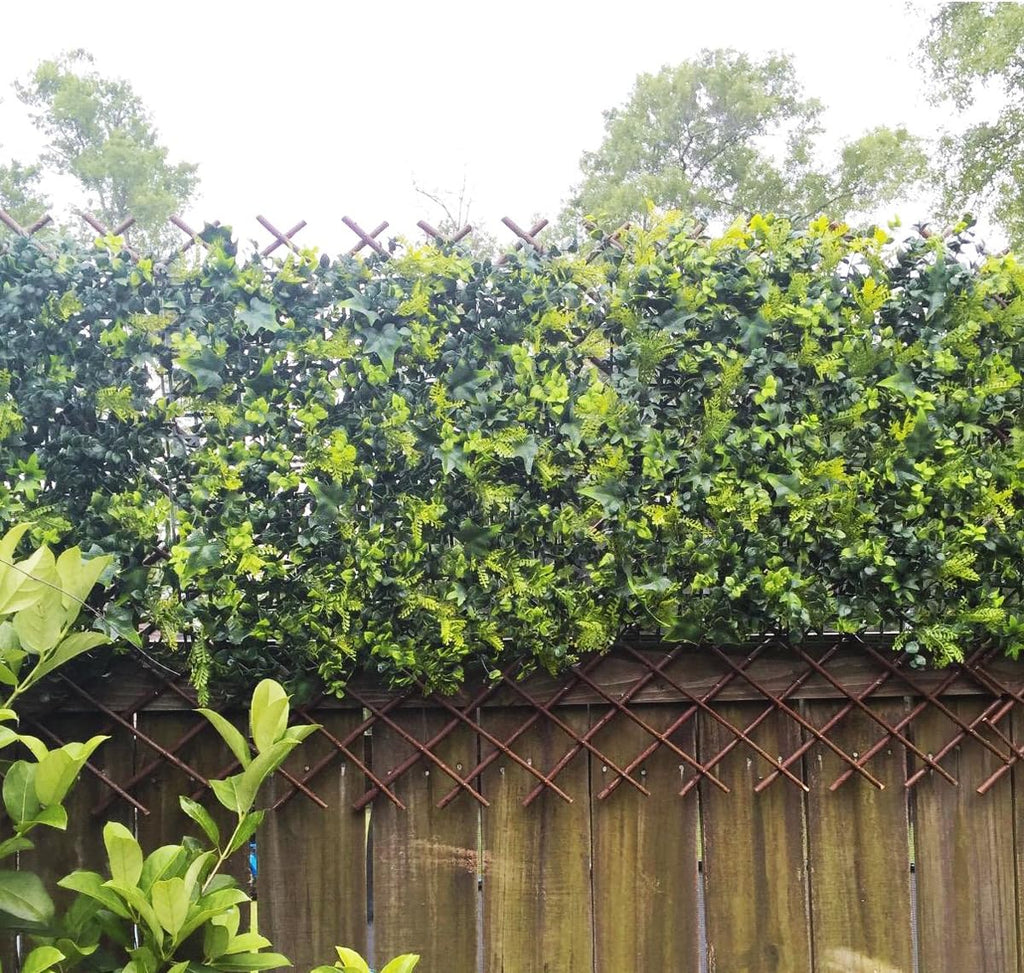 Expandable Garden Trellis Plant Support Willow Lattice Fence Panel for Climbing Plants Vine Ivy Rose Cucumbers Clematis 36X92 Inch