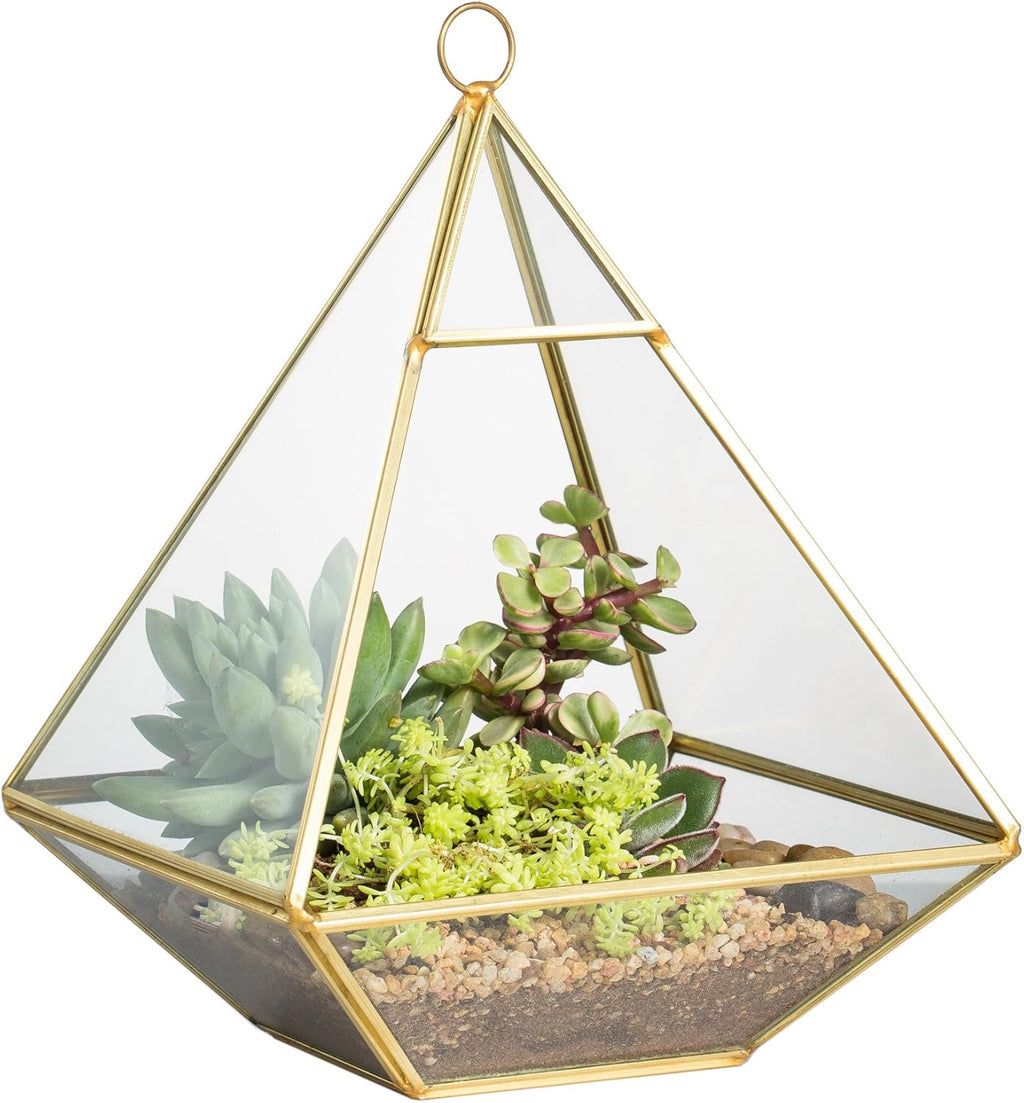 NCYP Geometric Glass Terrarium for Succulent, Air Plants - 5.9x5.9x7.87 Inches - Wall Hanging Glass Planter Pot, Home Garden Tabletop Decoration, Gold (Terrarium Only)
