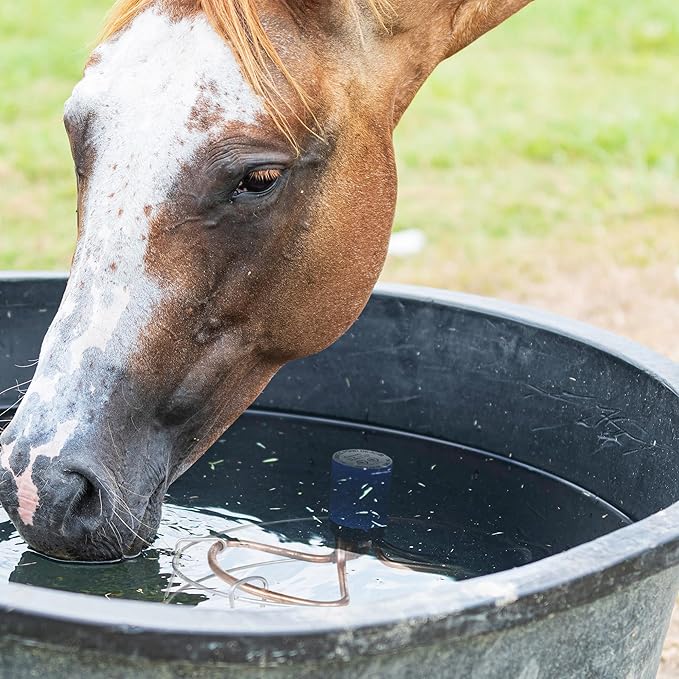 Farm Innovators 1500 Watt Cast Aluminum Submergible Water Tank Deicer, with Self Regulating Thermostat and Anti Chew Cord Protector, 2 Pack