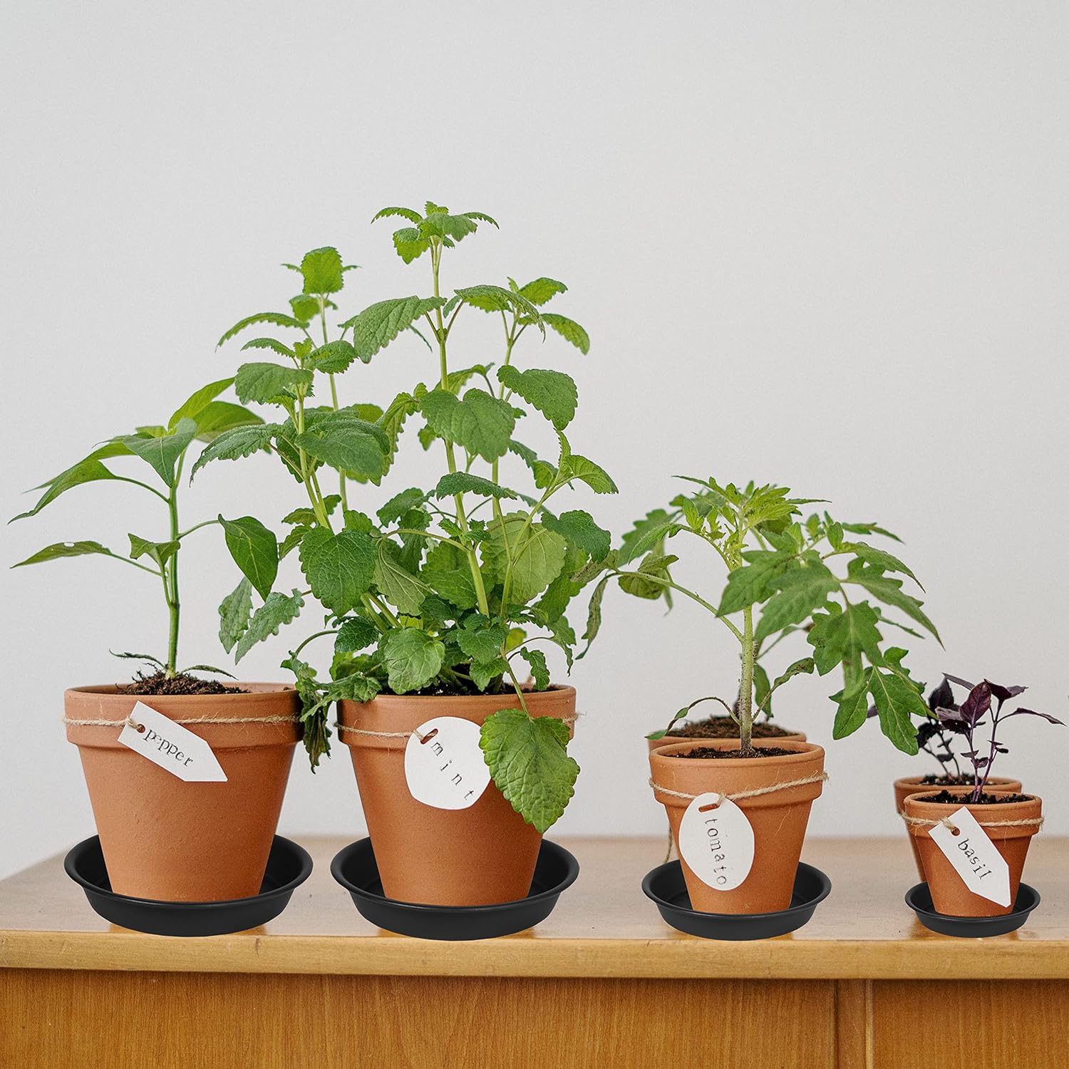 6 Pack Plastic Plant Saucer Water Drip Tray, 4 5 6 7 8 9 10 11 12 13 15 17 19 inch, Heavy Sturdy Plant Drainage Tray for Indoors Outdoor, Flower Saucers for Pots Base (4", Black)