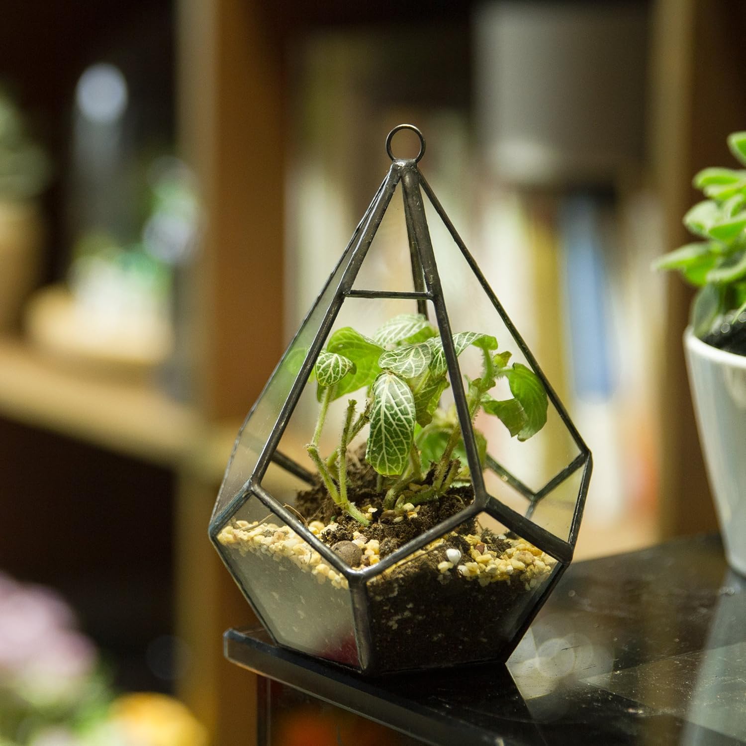 NCYP Mini Wall Hanging Glass Terrarium, 4.5 x 4.5 x 5.3 inches Diamond Shape Geometric Terrarium for Succulent Plant, Desktop Decor, Mini Centerpiece, Modern (Plants Not Included)