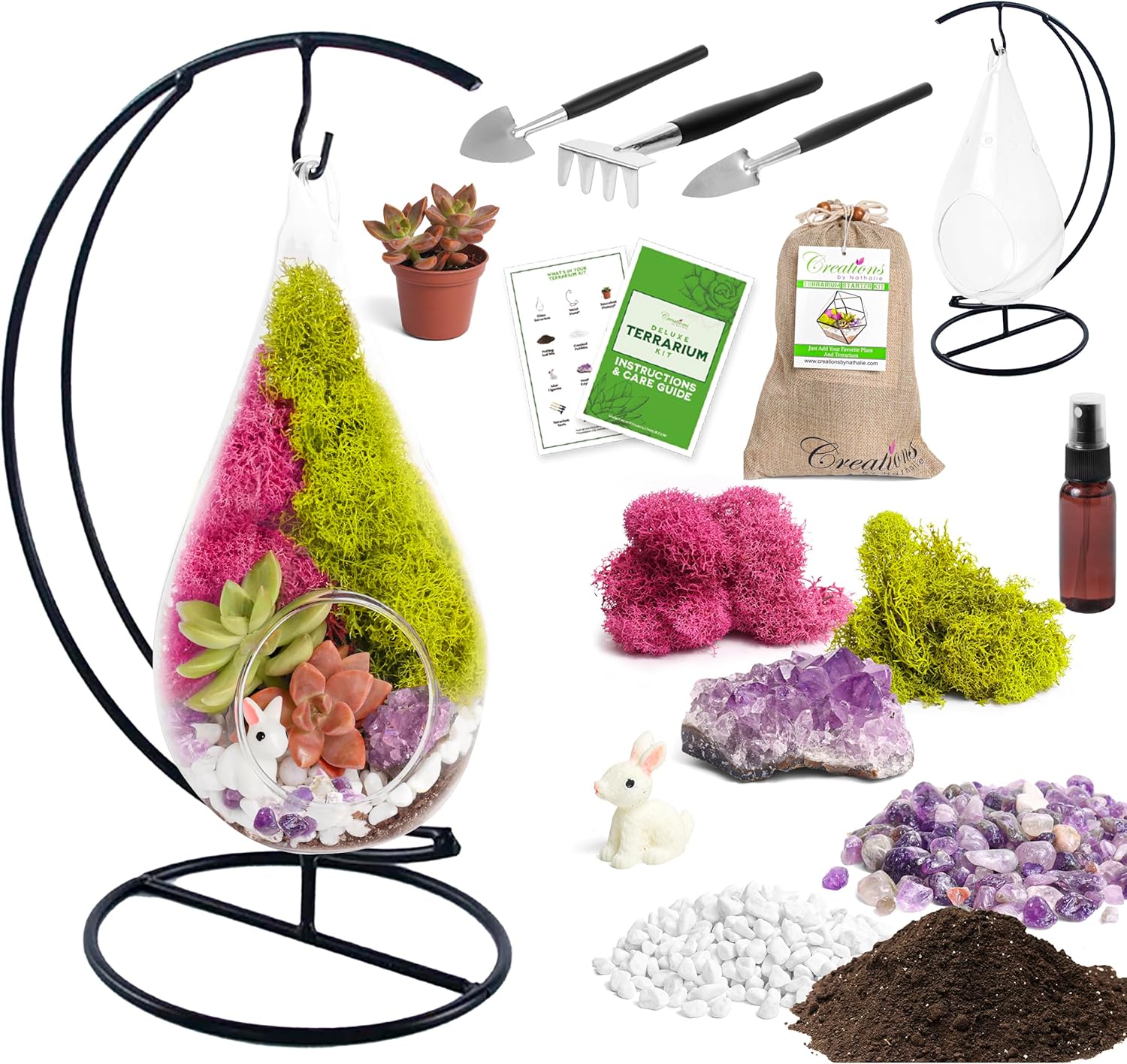 7" Teardrop Glass Succulent Terrarium Kit for Kids and Adults, Reindeer Moss, Crystal & Rocks, Tools, Figurine, Metal Hanger (Live Plant Included)