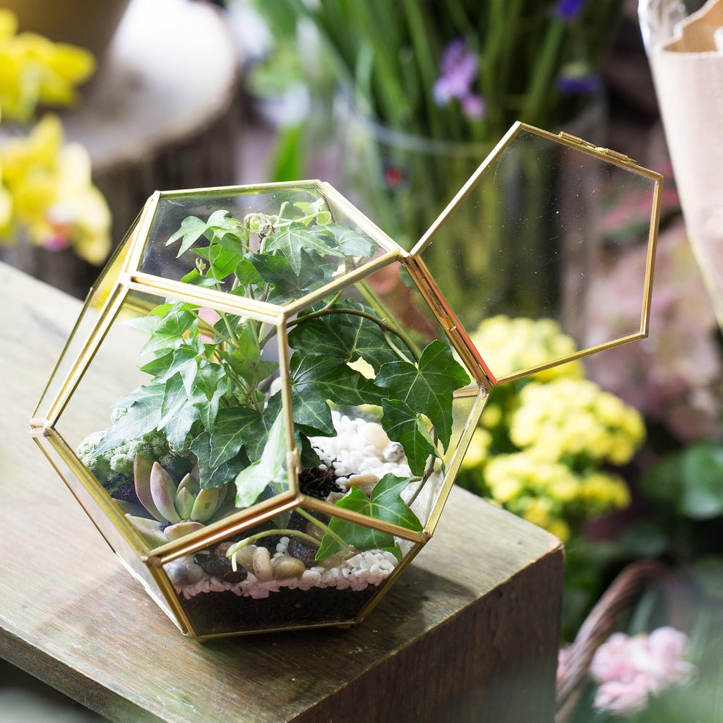 NCYP 6.89 x 6.89 x 5.9 inches Glass Geometric Terrarium Planter with Door and Foot, Pentagon Ball Shape Close Flower Pot for Fern Succulents Plants, Small, Gold (No Plants)