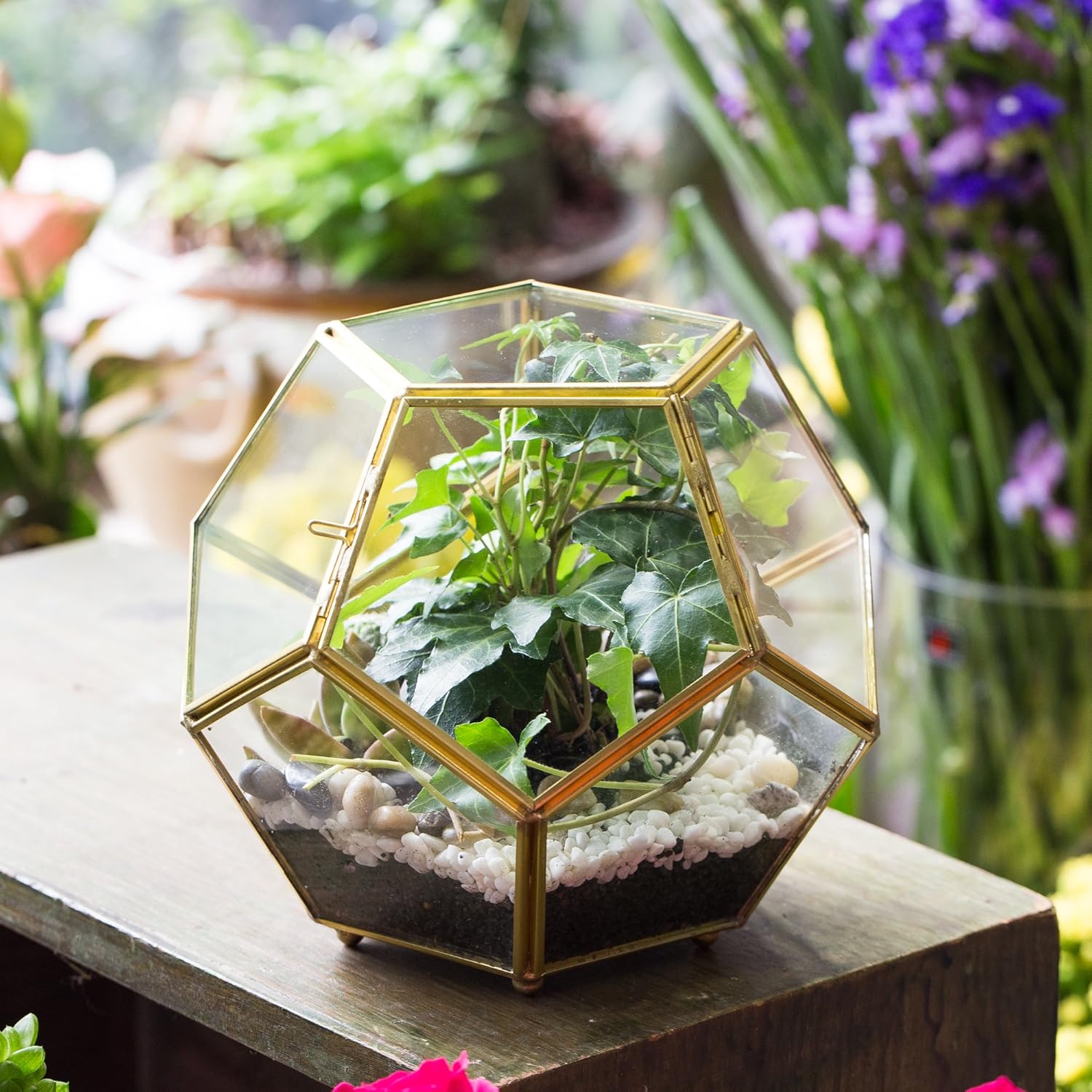 NCYP 6.89 x 6.89 x 5.9 inches Glass Geometric Terrarium Planter with Door and Foot, Pentagon Ball Shape Close Flower Pot for Fern Succulents Plants, Small, Gold (No Plants)