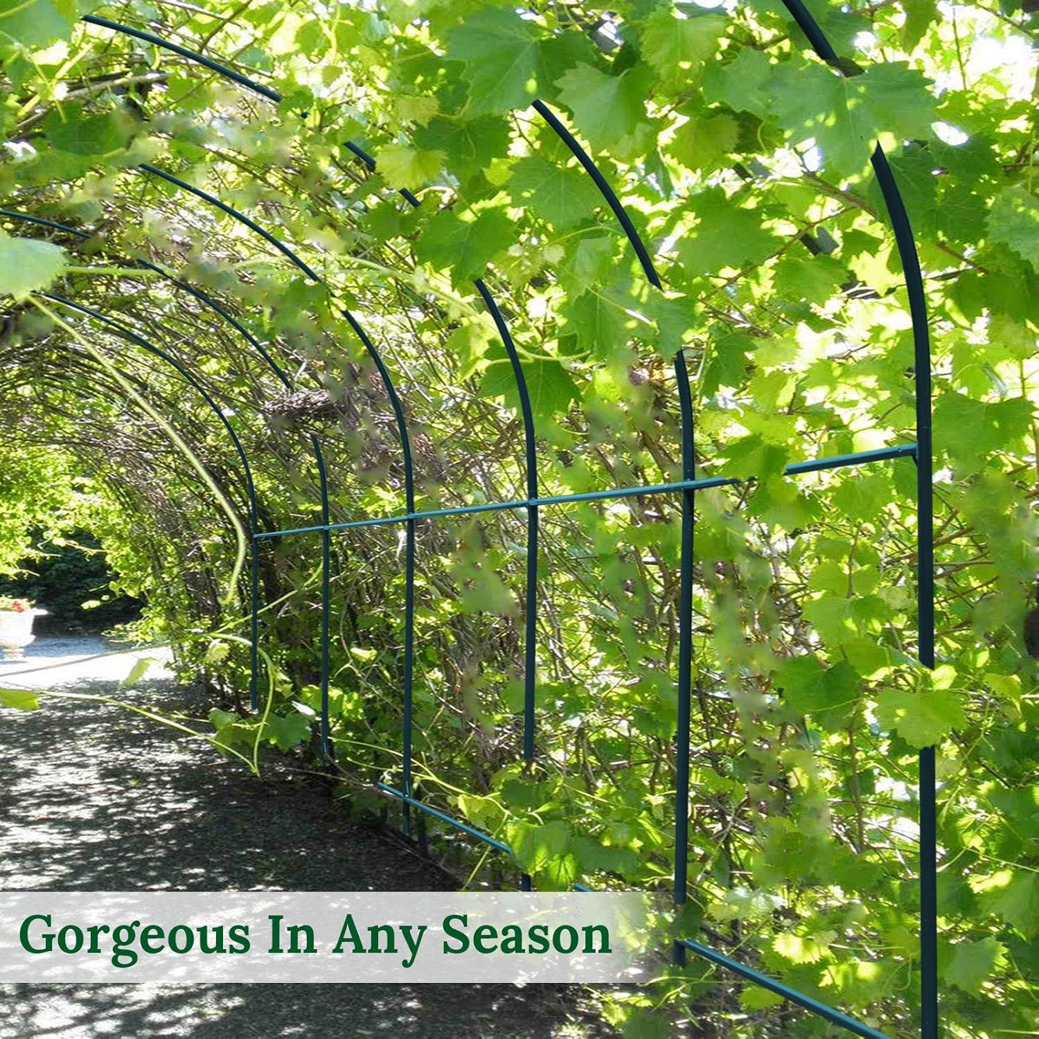 Multi-Size Large Garden Support Arch Frame Climbing Plant Arch Arbor for Flowers/Fruits/Vegetables (6.5ft x 7ft x 7.2ft)