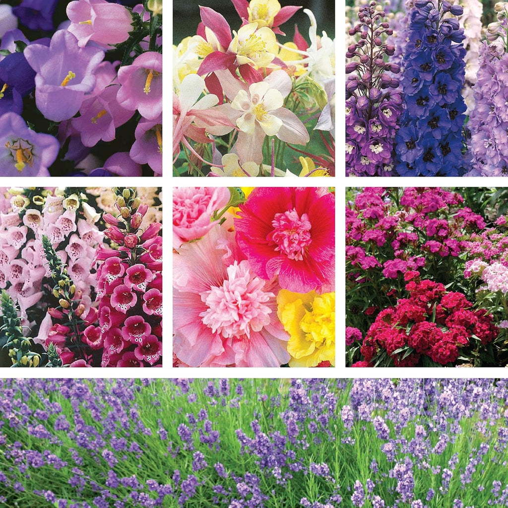 SUPERthrive Organic 4-4-4 All-Purpose Fertilizer, Solid Granular and Ferry-Morse English Cottage Perennial Garden Seed Variety Pack