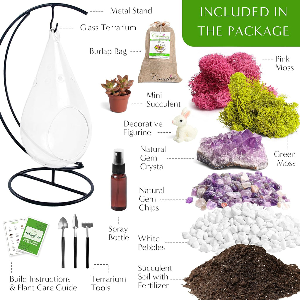 Plant Terrarium Kit W/Live Succulent (Fresh from Florida), Choose Your Glass DIY Terrarium Starter Kit for Adults, Metal Stand, Reindeer Moss, Crystal & Rocks, Tools, Figurine