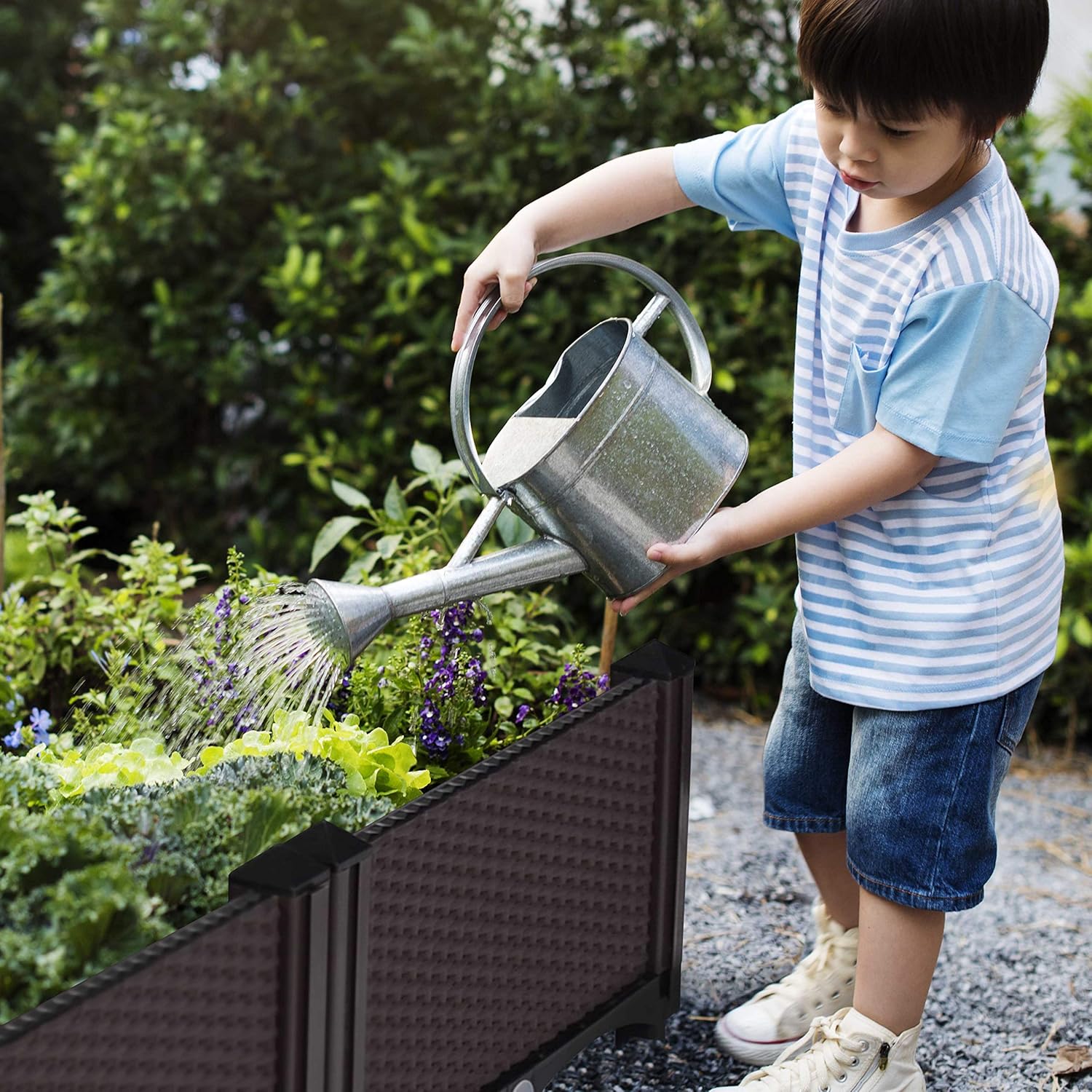 D'vine Dev Planter Raised Beds - Elevated Garden Box with Drainage Plug Raised Garden Beds for Vegetable/Flower/Herb Outdoor Standing Beds Gardening Kit, RGB-6