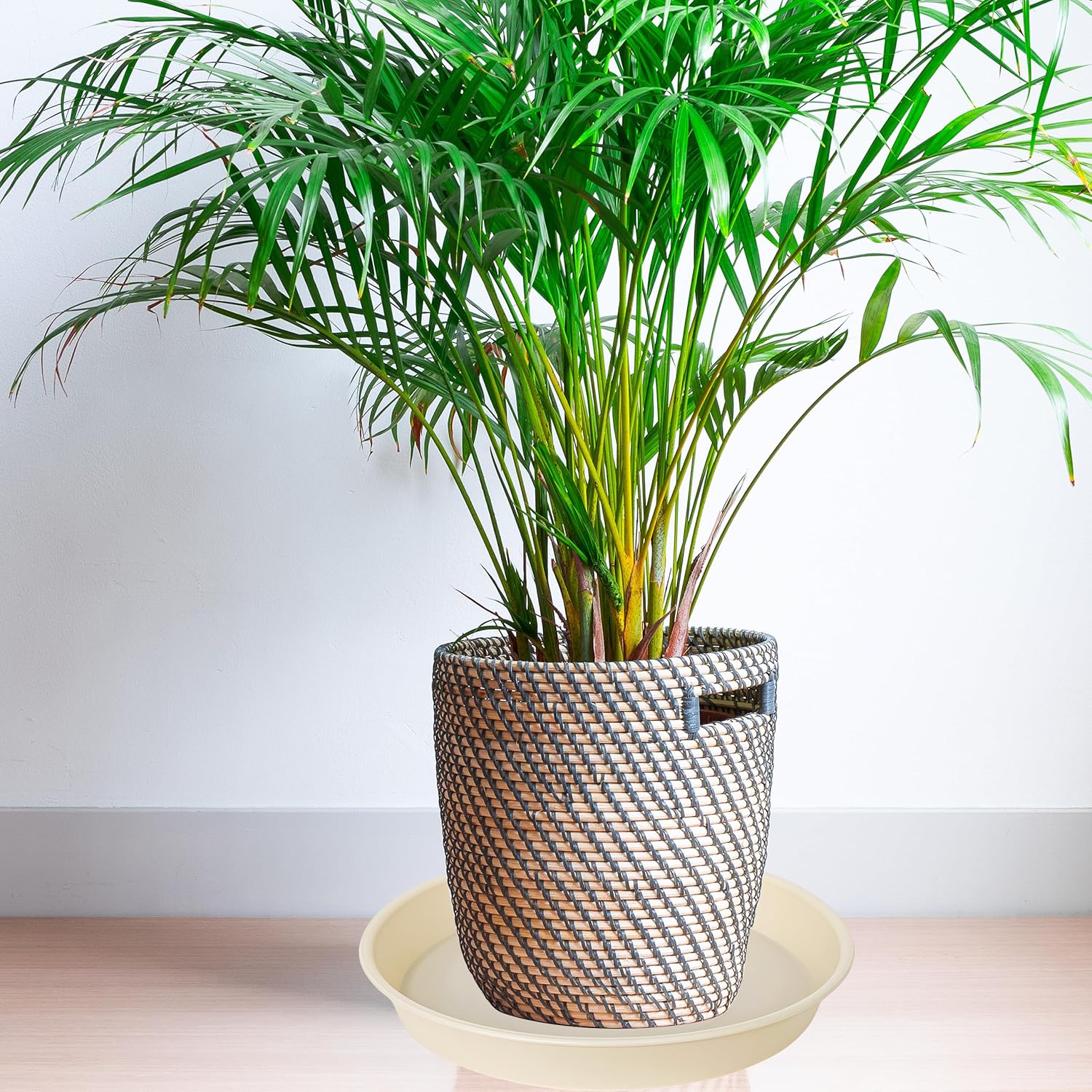 4 Pack of 14 inch Plant Saucers Bird Bath Bow Round, Plastic Plant Saucer Tray for Pots, White Planters for Indoor Plants, Plant Trays for Planter 12-15" (14", Beige)