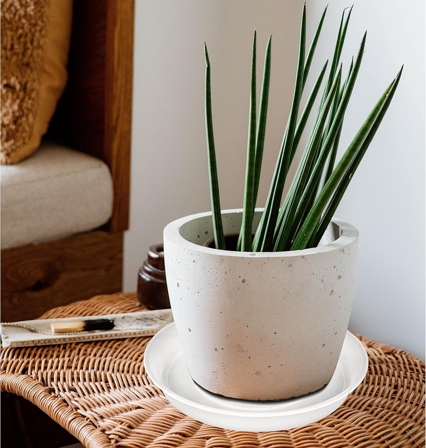 6 Pack Plant Saucer Tray, 4 5 6 8 10 12 13 15 17 19 inch Plant Saucers, Heavy Duty Plastic Plant Drip Trays for Indoors, Flower Plant Water Tray, Plant Trays for Pots Base (6 inch, Clear)