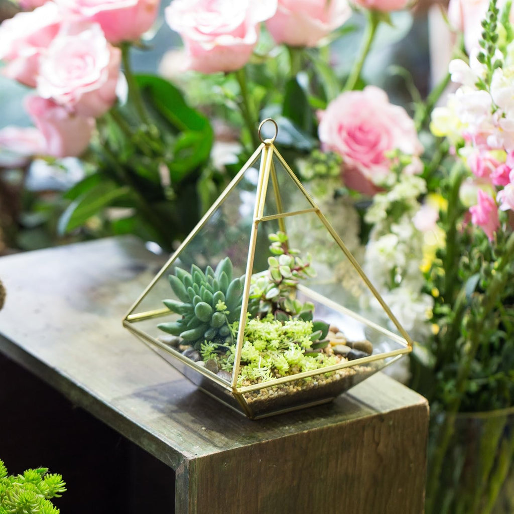 NCYP Geometric Glass Terrarium for Succulent, Air Plants - 5.9x5.9x7.87 Inches - Wall Hanging Glass Planter Pot, Home Garden Tabletop Decoration, Gold (Terrarium Only)