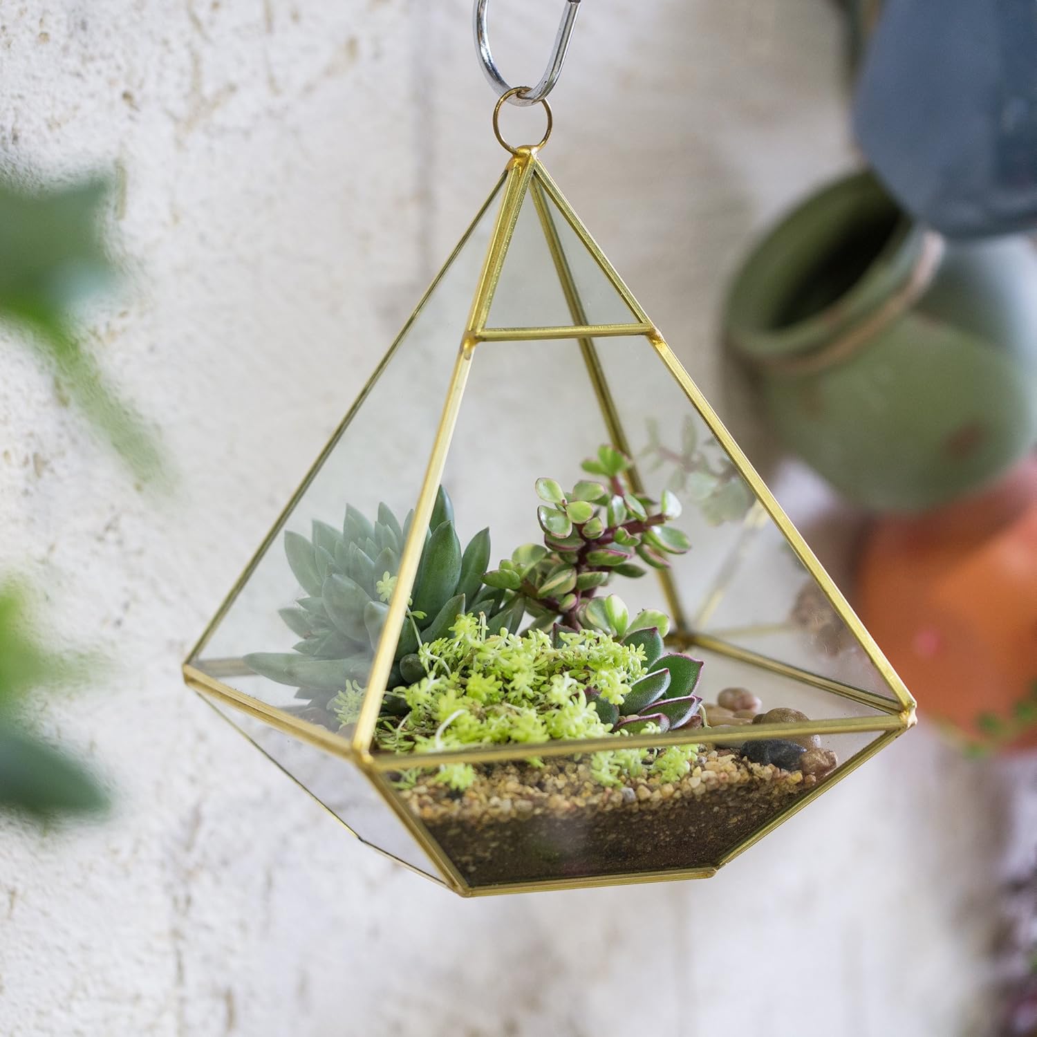 NCYP Geometric Glass Terrarium for Succulent, Air Plants - 5.9x5.9x7.87 Inches - Wall Hanging Glass Planter Pot, Home Garden Tabletop Decoration, Gold (Terrarium Only)
