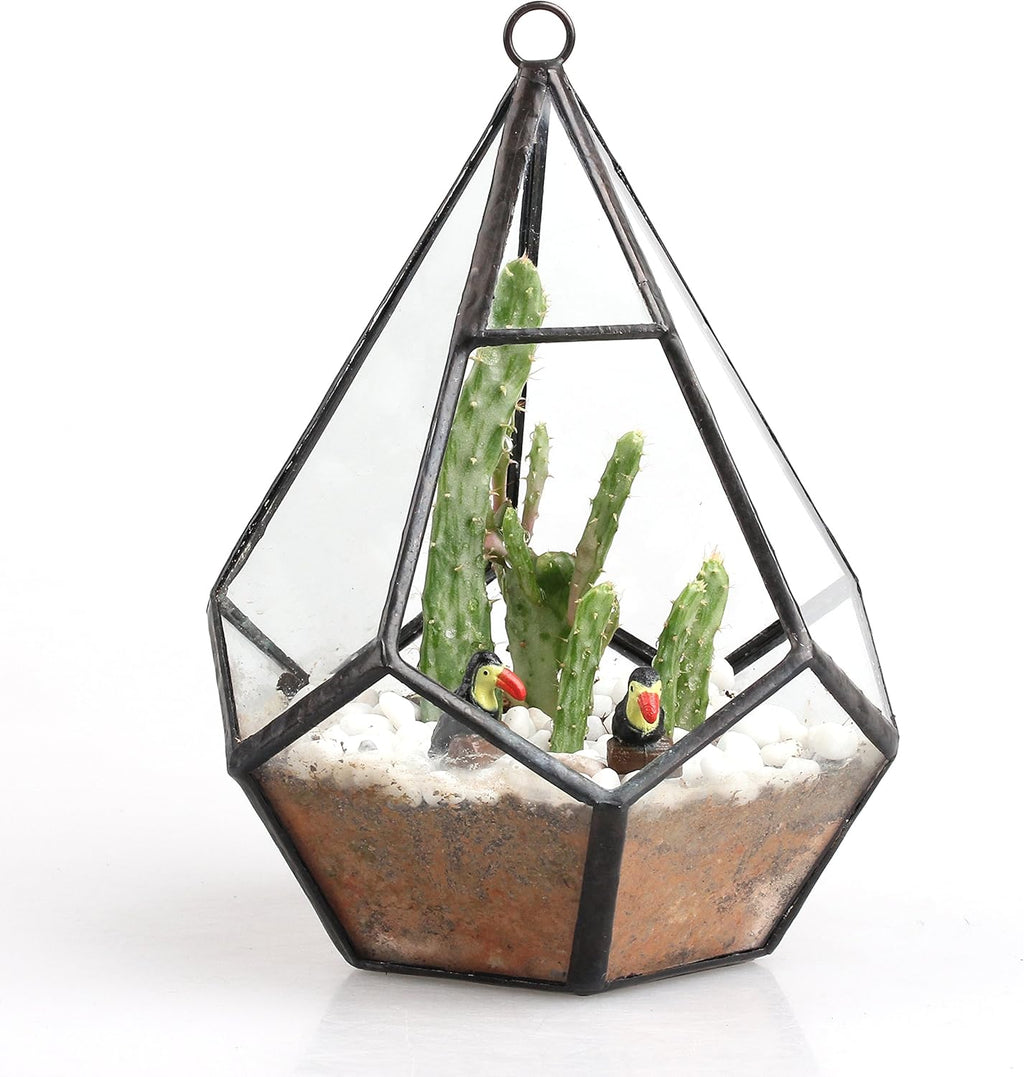 NCYP Mini Wall Hanging Glass Terrarium, 4.5 x 4.5 x 5.3 inches Diamond Shape Geometric Terrarium for Succulent Plant, Desktop Decor, Mini Centerpiece, Modern (Plants Not Included)