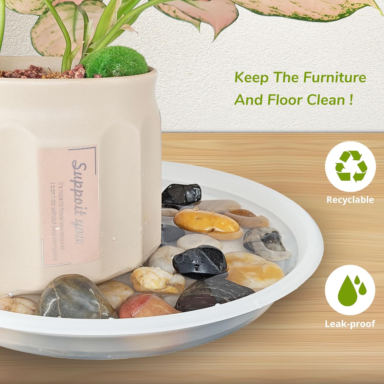 12Pcs Colourful Plant Saucer, 6 8 10 Inch Durable Plastic Plant Tray, Round Plant Pot Saucers, Drip Tray for Indoor and Outdoor Garden, Semi-Clear