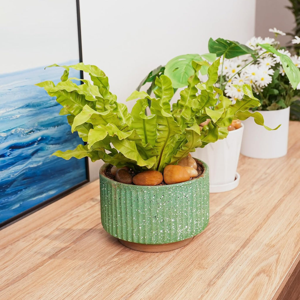 12 LBS River Rocks, StoneCreek, Decorative Garden Stones for Plant Landscaping, Polished Gravel Filler Pebbles for Home Decoration, Vases, Succulents, Flower Beds and Fish Tanks (Pale Yellow, Medium)