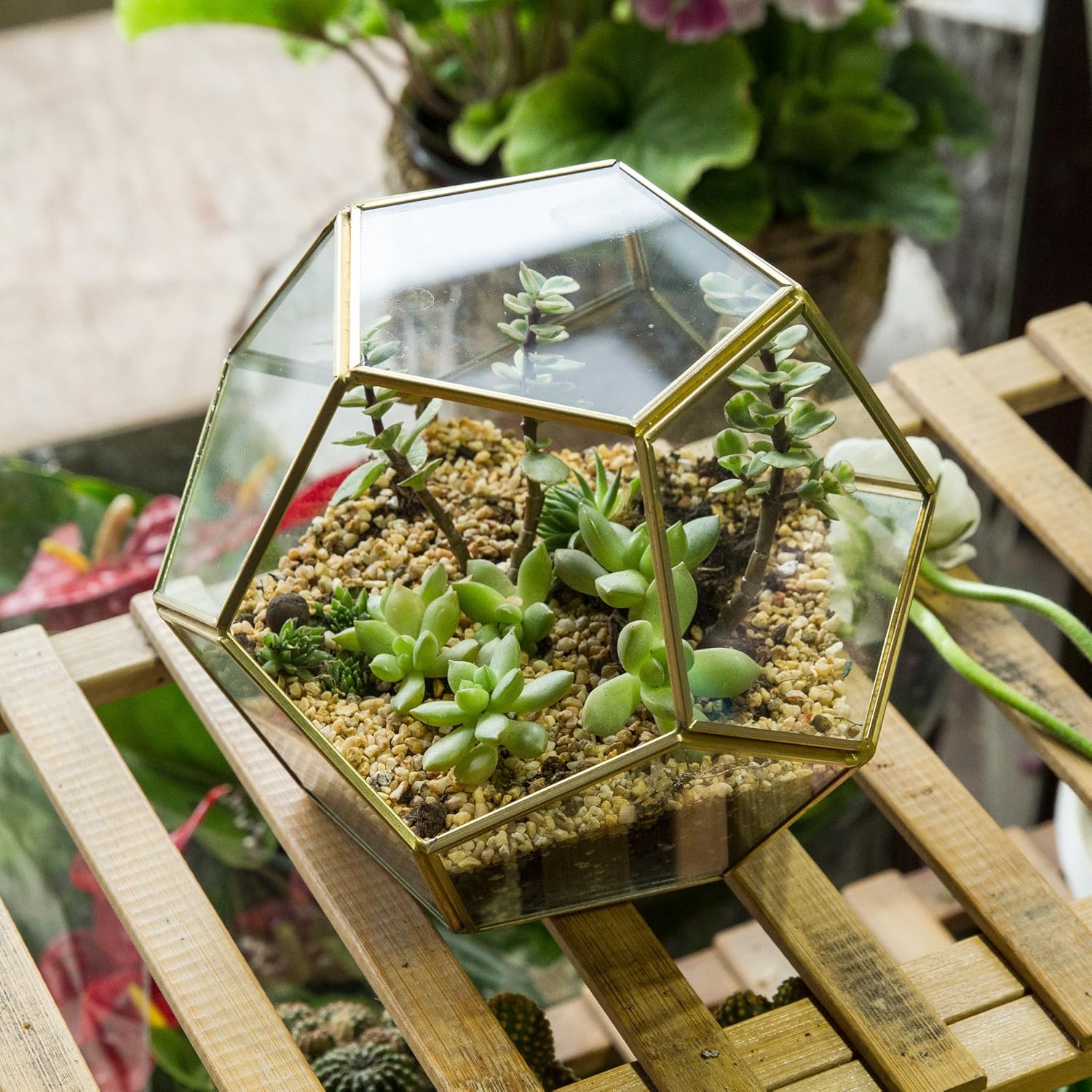 NCYP Glass Terrarium for Small Cactus, Succulents - Gold Geometric Planter Pot, Home Office Tabletop Miniature Garden Decor, 6.89 x 6.89 x 5.9 Inches, Handmade (No Plants, No Door)