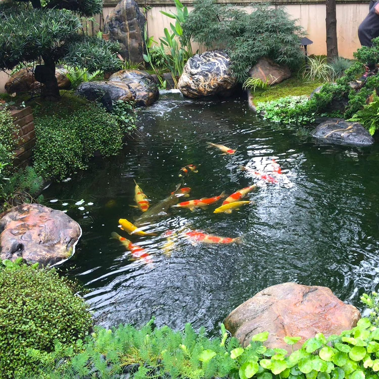 20 x 25 FT Pond Liner, 20 Mil Fish Pond HDPE Liner, Pond Liners for Outdoor Ponds, Koi Ponds, Garden Fountain, Waterfall